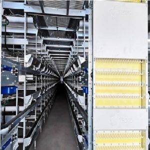 Universal Layer Poultry System
